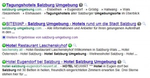 Suchergebnisse auf Google